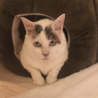 エイズキャリアですが生涯可愛がってくださる方募集中