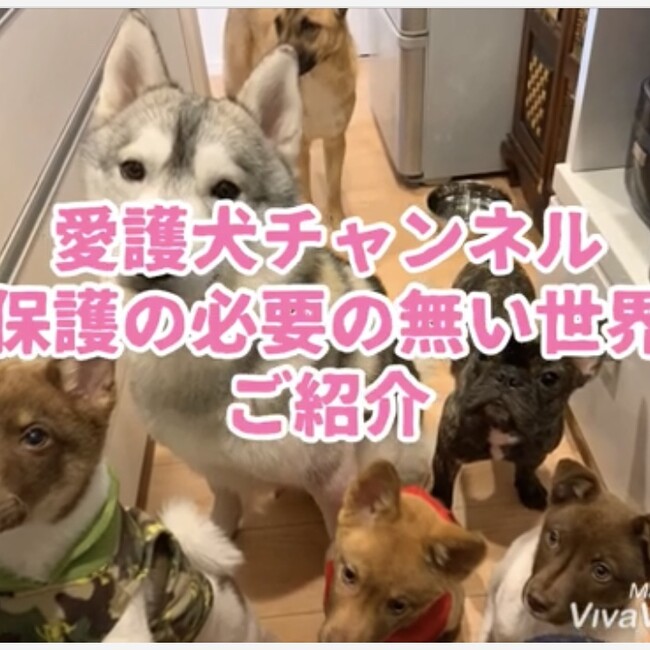 おじゃどfamily のカバー写真
