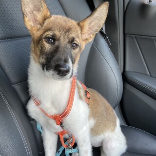 お茶目で穏やかな性格の女の子です