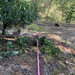 ロングリードの悩み