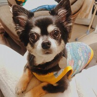 ミニー