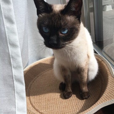 朝の追いかけっこ、ひと休み中…