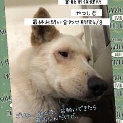 「倉敷から、ギリギリのお願い、やつし君→卒業！」サムネイル3