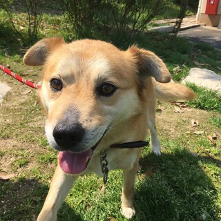 笑顔が素敵な太陽君