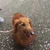 てらさかそら