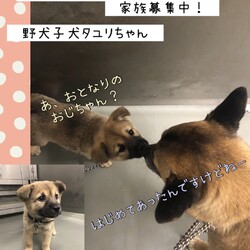 「Edワンコの倉敷市保健所訪問レポート→全頭卒業！」サムネイル2