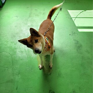 ありがとうございました。