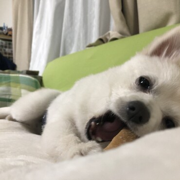 の写真