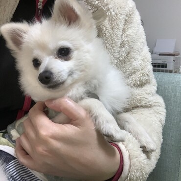 の写真