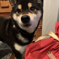 上野琥鉄