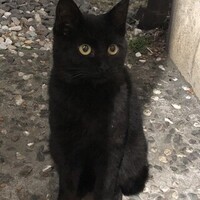 ルーク