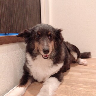 応募者多数の為一度締切させていただきます。