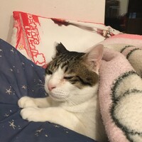 ミズオ