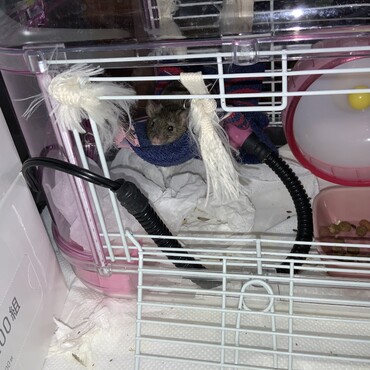 のんびりするよ〜。