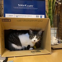くぅ