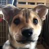 たけ　るり