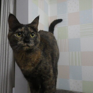 募集終了しました　遊び盛り　10ヶ月