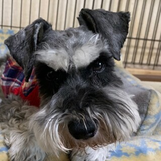 少しビビりで甘えたな女の子♪