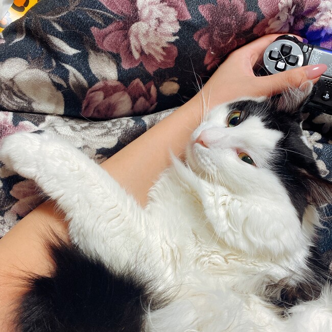 綺譚のカバー写真