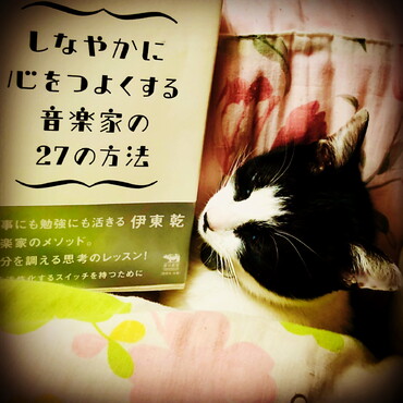 お布団に入って頭だけ出して眠っています