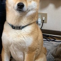 ライ