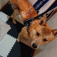 幸多朗