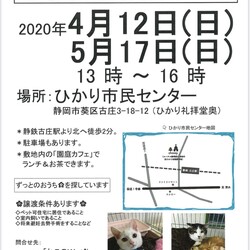 ねこのWa 猫譲渡会