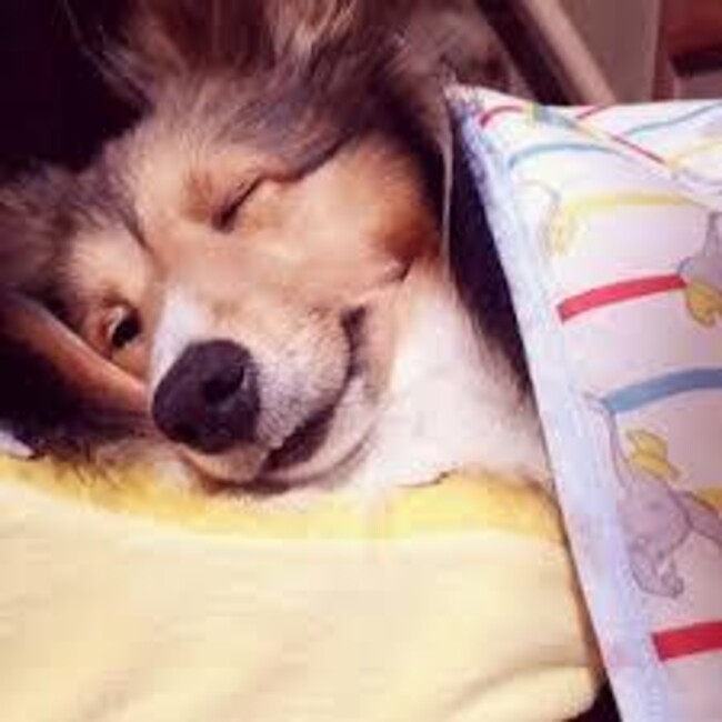 gracemamaのカバー写真