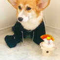一時募集締切ます。