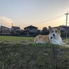 の写真