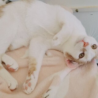 甘えん坊の「あとむくん」♪