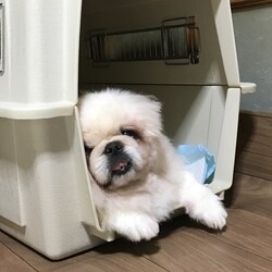 「笑い事では　済まない　( ´Д`)y━･~~」サムネイル2