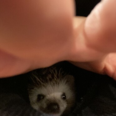 ママの袖の中に入って出てきません笑笑