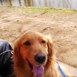 「てんちゃん学校へ」サムネイル2