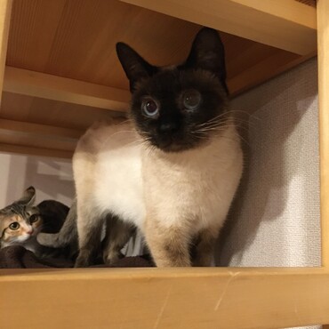 の写真