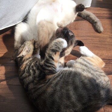 の写真
