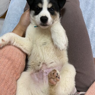 ケンズくんトライアル決定募集停止♡