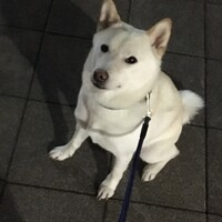 パン