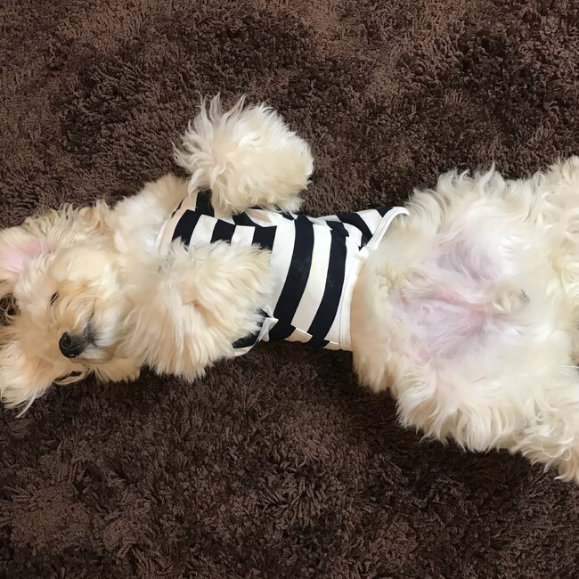 しんみょーのカバー写真