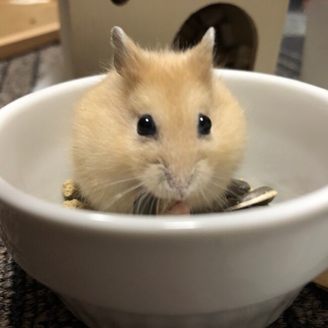 rei21のカバー写真