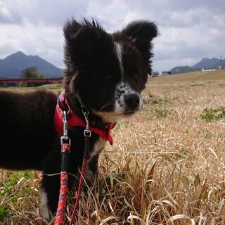 ありがとうございました★タクローくん
