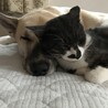 ムッチャ。。。