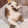 えるか
