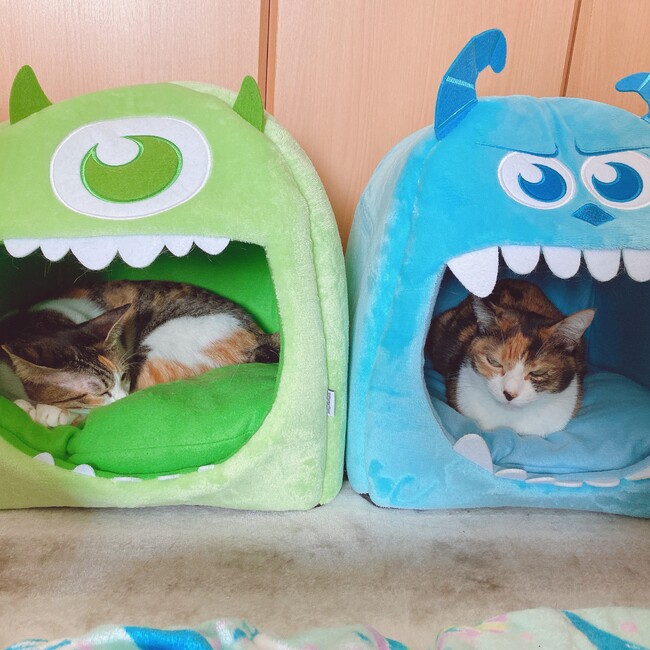 えるかのカバー写真
