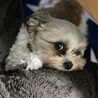 アイラインが可愛いでしょ