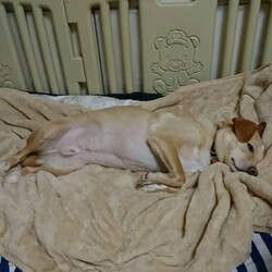 「#STAY  HOME」サムネイル3