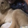お姉ちゃんより重くなったw