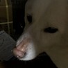 私がこの家の、主人w