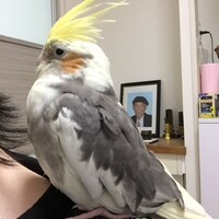 ちか