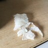 脱皮　今回初めてお手伝い（いつもは自力です）